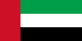 Dubai flag