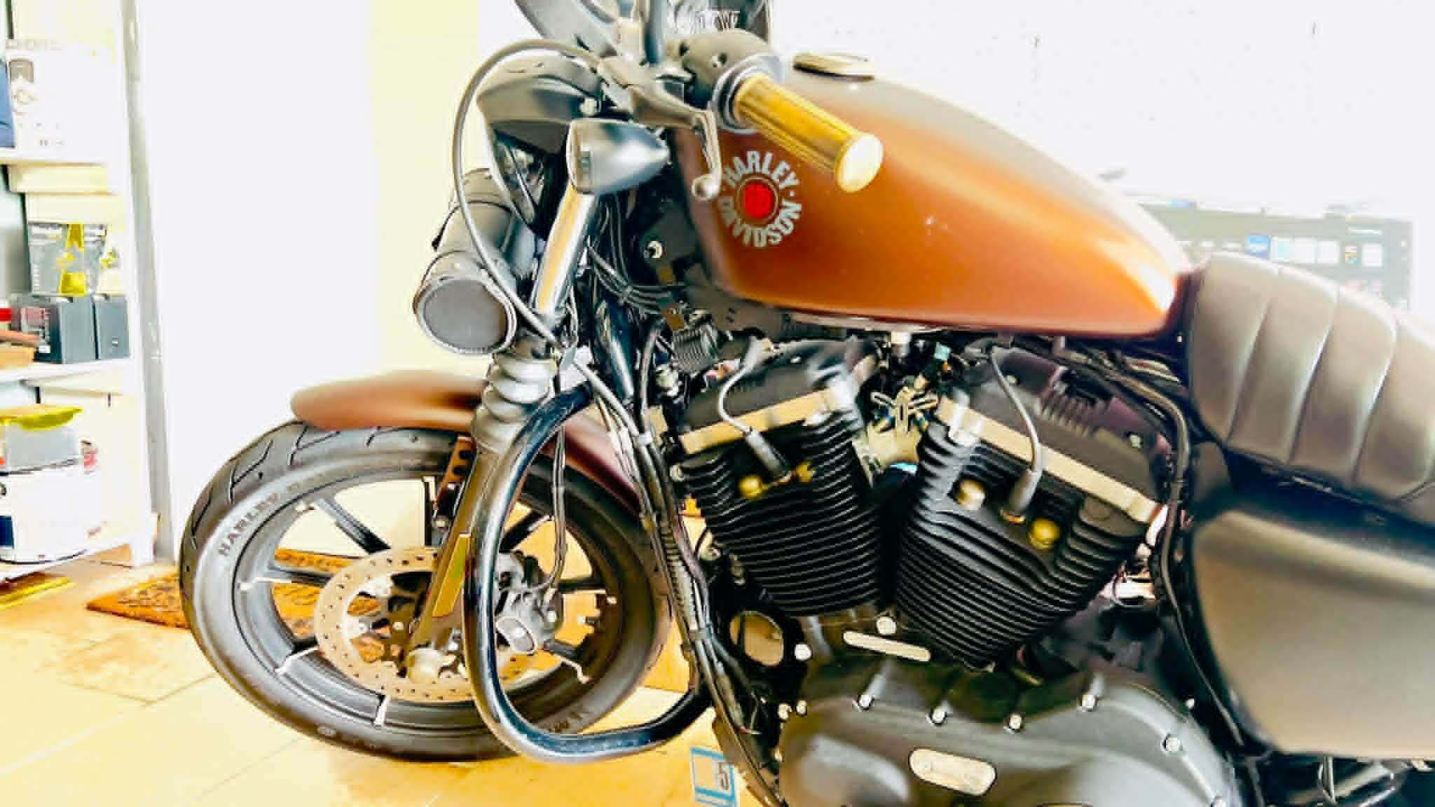The Harley-Davidson Iron 883 (XL883N) - almost new
